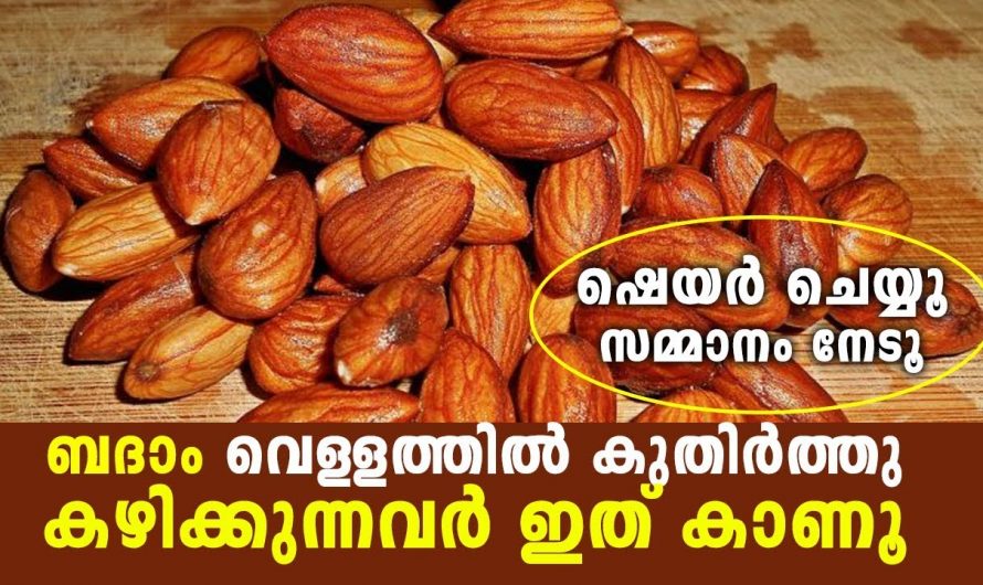 നിങ്ങളും കുതിർത്ത ബദാം കഴിച്ചിട്ടുണ്ടോ. എങ്കിൽ തീർച്ചയായും നിങ്ങൾ ഇത് അറിഞ്ഞിരിക്കണം.