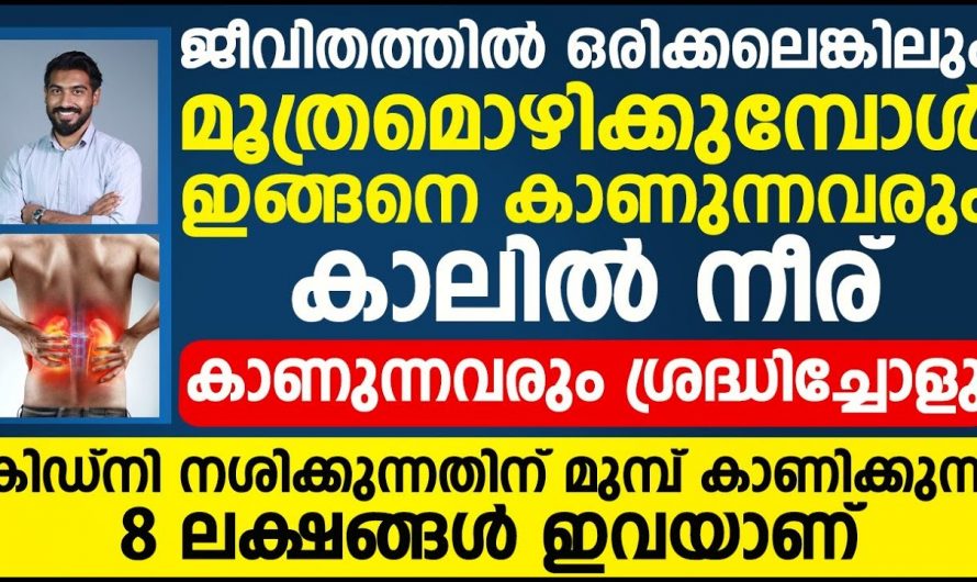 നിങ്ങൾ മൂത്രമൊഴിക്കുമ്പോൾ ഇങ്ങനെയാണോ കാണുന്നത്. എങ്കിൽ സൂക്ഷിക്കുക കിഡ്നി നശിക്കാൻ തുടങ്ങിയിരിക്കുന്നു.