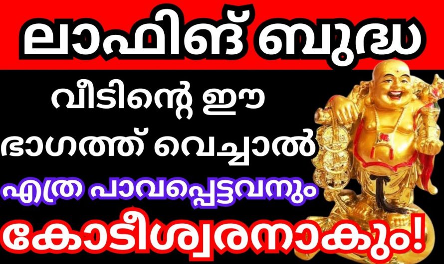 വീടിന്റെ ഈ ഭാഗത്ത് ഒരു ലാഫിംഗ് ബുദ്ധ പ്രതിമ വയ്ക്കു, ധനം കുതിച്ചുയരും.