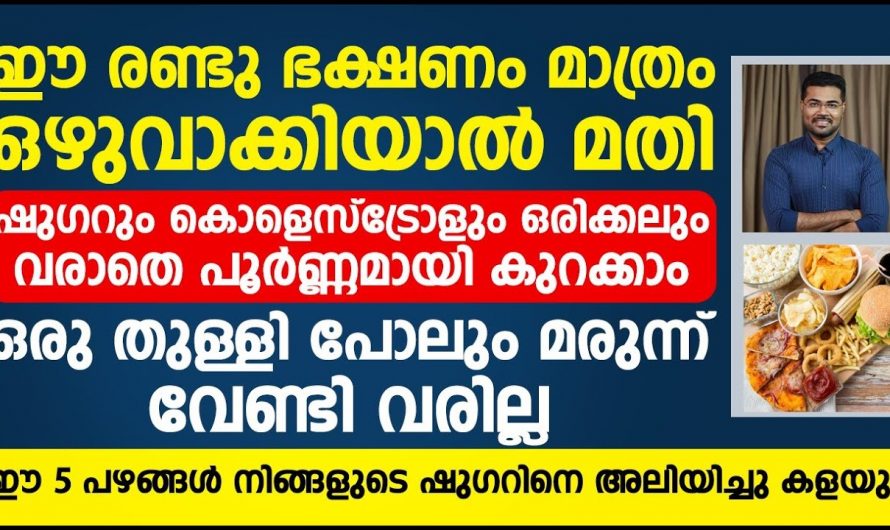 ശരീരത്തിൽ അടിഞ്ഞുകൂടിയ കൊഴുപ്പും കൊളസ്ട്രോളും ഇനി പൂർണ്ണമായും ഒഴിവാക്കാം. മരുന്നുകളെ മറന്നേക്കു.