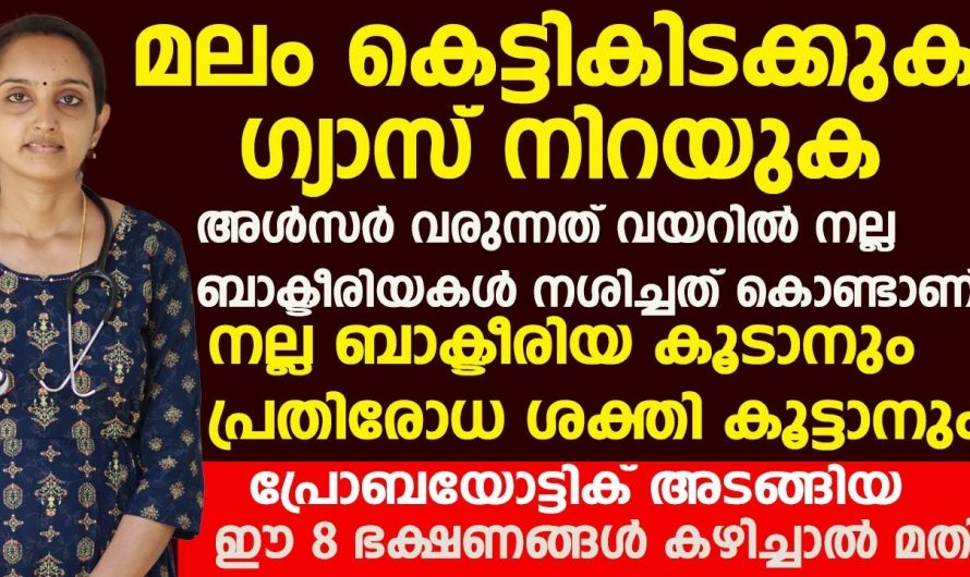 നിങ്ങളും ഈ ഭക്ഷണങ്ങൾ കഴിക്കൂ വയറിൽ നല്ല ബാക്ടീരിയകൾ വളരും.