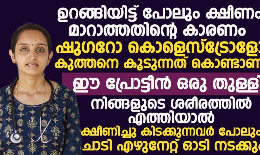 നിങ്ങൾക്ക് എപ്പോഴും ഉറങ്ങാൻ തോന്നാറുണ്ടോ, ശരീരത്തിന്റെ ഷീണ കാരണം ഇതുവരെ തിരിച്ചറിഞ്ഞില്ലേ.