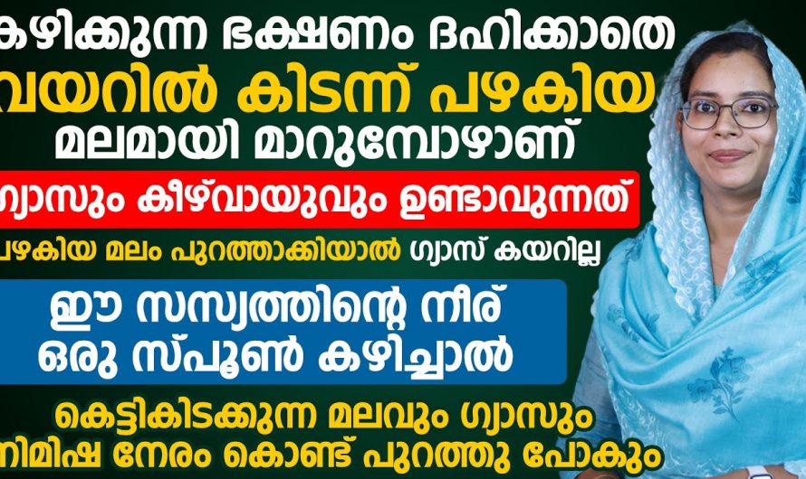 കെട്ടിക്കിടക്കുന്ന മലവും ഗ്യാസും ഒരു ബുദ്ധിമുട്ടും ഉണ്ടാക്കാതെ പുറത്തുപോകും. നിങ്ങളും ഇങ്ങനെ ചെയ്താൽ മതി.