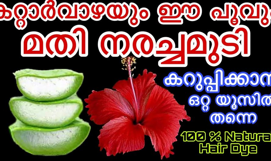 എത്ര നരച്ച മുടിയും ഇനി ഒറ്റ യൂസിൽ കട്ട കറുപ്പാകും. നിങ്ങൾക്കും പരീക്ഷിക്കാം.