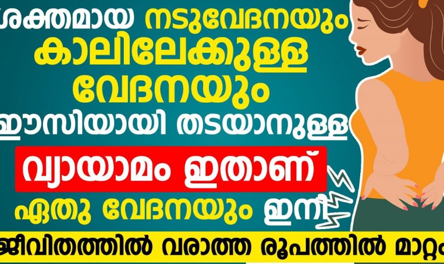 നടുവിൽ നിന്നും കാലിലേക്ക് ഇറങ്ങുന്ന വേദനയാണോ നിങ്ങളുടെ പ്രശ്നം. ഒരിക്കലും തിരിച്ചു വരാത്ത രീതിയിൽ ഈ വേദനയെ പമ്പകടത്താം.