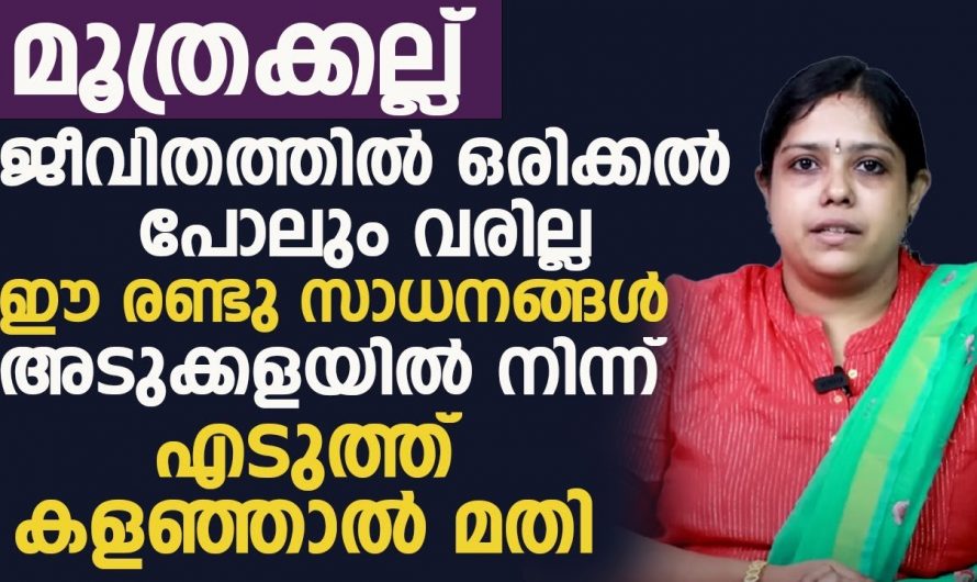 മൂത്രത്തിൽ കല്ലുകൊണ്ട് പ്രയാസപ്പെടുന്നവരുണ്ടോ, പരിഹാരം വളരെ എളുപ്പം.