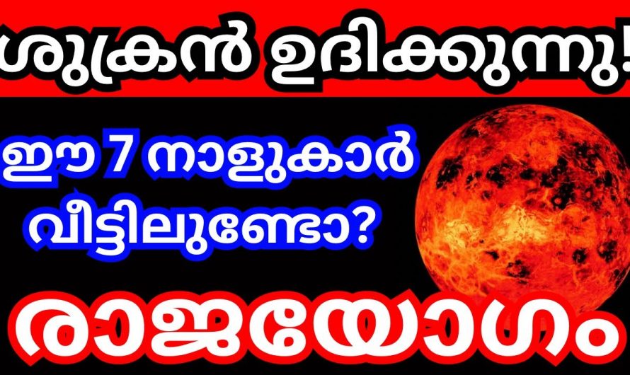 ഈ 7 നക്ഷത്രക്കാർക്ക് ഇനി ശുക്രനാണ്. നിങ്ങൾക്കും ഒരു കോടീശ്വരൻ ആകാം.