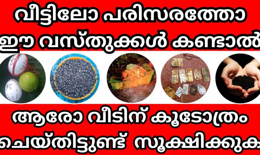 വീട്ടുപരിസരത്തു ഈ വസ്തുക്കൾ കണ്ടാൽ വെറുതെ ഇരിക്കരുത്, ഇത് കൂടോത്രം ആവാം.