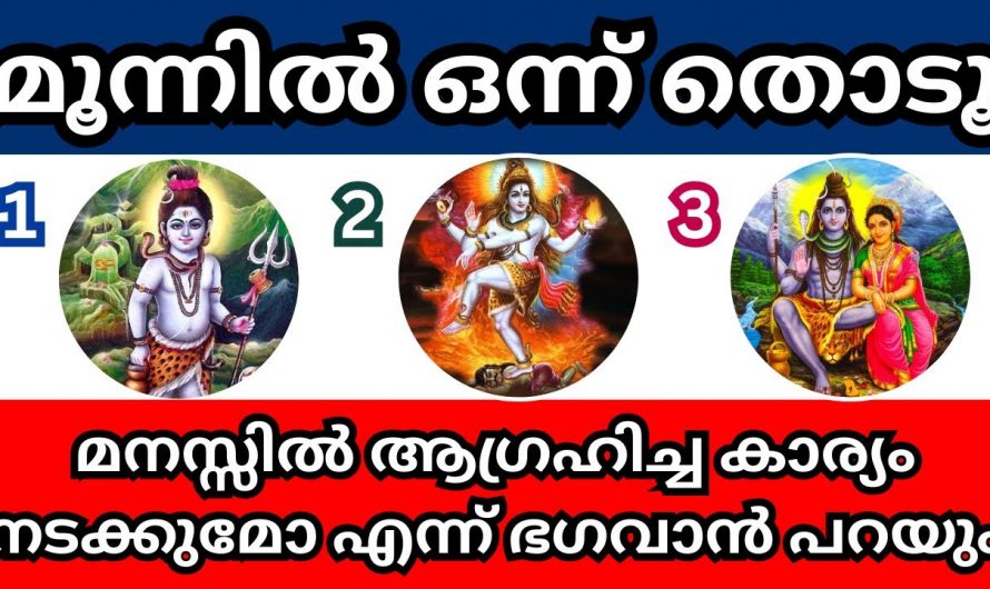 ഭഗവാന്റെ ഈ ചിത്രമാണ് നിങ്ങളുടെ മനസ്സിലുള്ള ആഗ്രഹം എങ്ങനെ സാധിക്കാൻ പോകുന്നു എന്ന് സംസാരിക്കുന്നത്.