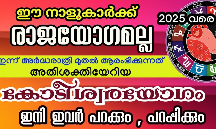 ഇനി ഈ നക്ഷത്രക്കാരുടെ ജീവിതം രാജകീയമായിരിക്കും.