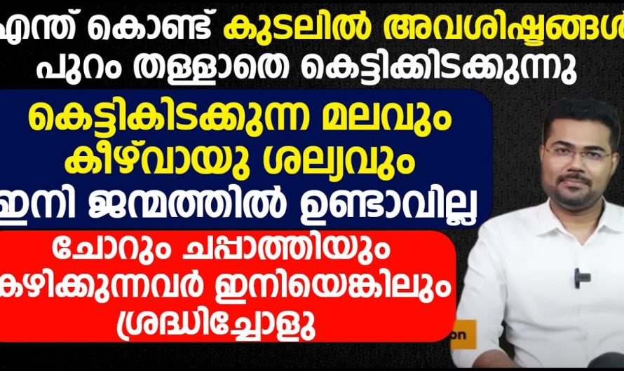 ഇനി ഒഴിവാക്കാം ചപ്പാത്തിയും പാലും. നിങ്ങൾക്കും കീഴ് വായു ശല്യമാണോ.