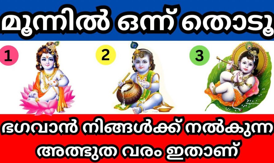 ഭഗവാന്റെ മൂന്നിലൊരു ചിത്രം നിങ്ങൾക്ക് നൽകുന്നു അത്ഭുത വരം.