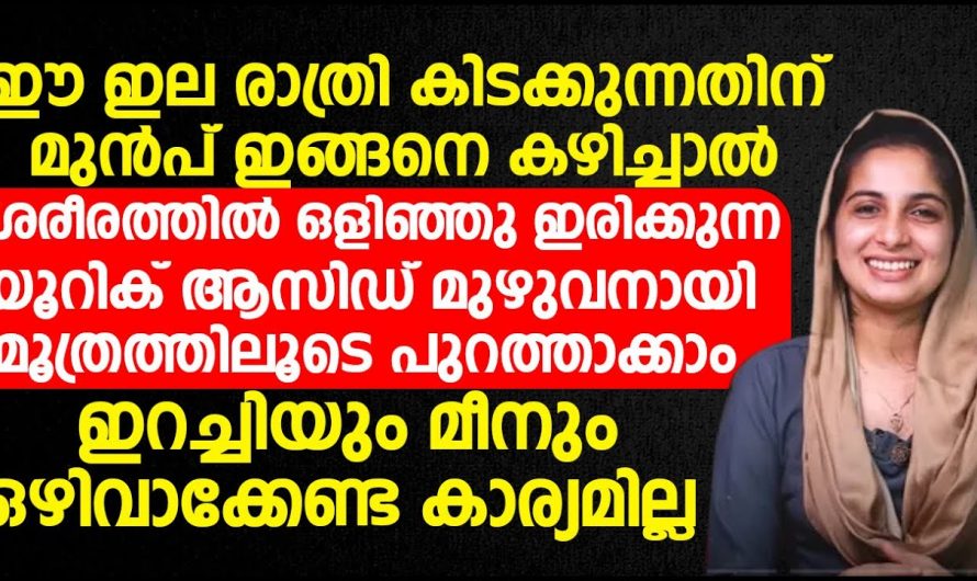 ഈ ഒരു ഇല മാത്രം കഴിച്ചാൽ മതി യൂറിക് ആസിഡ് മുഴുവനായി മൂത്രത്തിലൂടെ പുറന്തള്ളും.