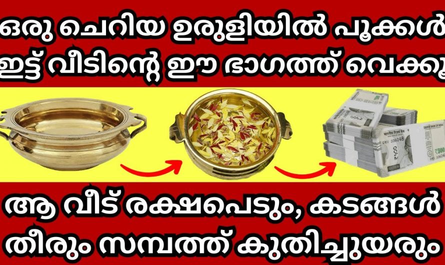 നിങ്ങളുടെ വീടിന്റെ ഈ ഭാഗത്ത് ചെറിയ ഉരുളി ഇങ്ങനെ സ്ഥാപിചാൽ സംഭവിക്കാൻ പോകുന്നത്.