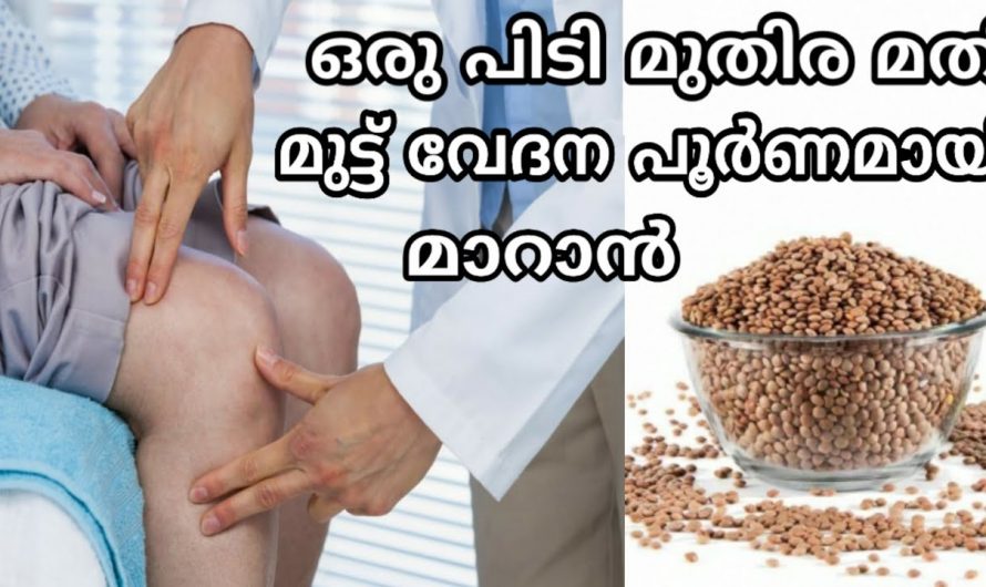 മുതിര ഇങ്ങനെ ഉപയോഗിച്ചാൽ ശരീരത്തിലെ ഏത് വേദനയും പമ്പ കടക്കും.