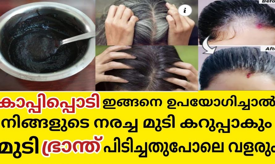 എത്ര നരച്ച മുടിയും ഇനി കട്ട കറുപ്പ് ആകും. ഈ പൊടി അല്പം മാത്രം മതി.