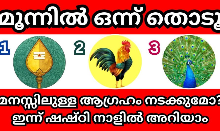 ഇത് ഷഷ്ടി നാൾ, ഈ മൂന്നിലൊന്ന് തൊടൂ ആഗ്രഹങ്ങൾ നടക്കുന്നത് എങ്ങനെയെന്നറിയാം.