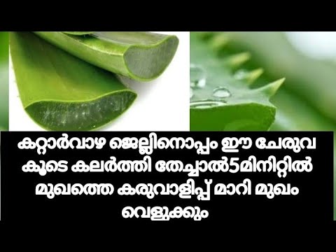 ഇനി നിങ്ങൾക്കും തിളങ്ങാം,ഒരു കറ്റാർവാഴ തണ്ടു മതി. വെറും മൂന്നു ദിവസംകൊണ്ട് മുഖം വെട്ടി തിളങ്ങും .