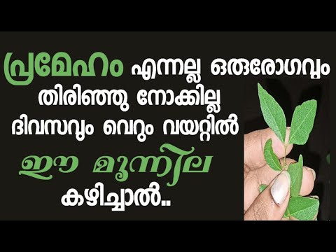 ദിവസവും വെറും വയറ്റിൽ ഈ മൂന്നില കഴിച്ചാൽ മതി ഏത് രോഗവും നിങ്ങളിൽ നിന്ന് അകന്നോടും.