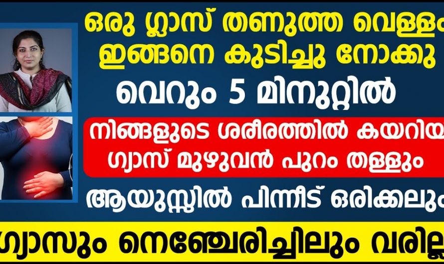 നെഞ്ചിരിച്ചിലും ഗ്യാസ് മൂലം പ്രയാസപ്പെടുന്നവരാണോ, നിസ്സാരമായി ഈ പ്രശ്നങ്ങളെ അകറ്റാം.