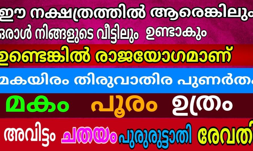 ഈ കൂട്ടത്തിൽ നിങ്ങളുടെ നക്ഷത്രവും കാണുന്നുണ്ടോ. എങ്കിൽ സമ്പത്ത് നിങ്ങളിലേക്ക് ഒഴുകിയെത്തും.