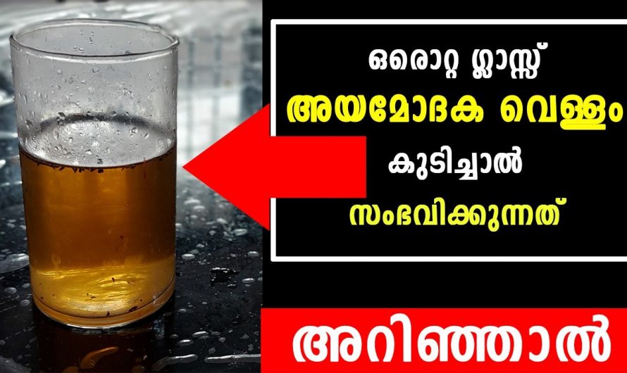 നിസ്സാരമെന്ന് കരുതുന്ന  അയമോദകത്തിന്റെ ഈ ഗുണങ്ങൾ നിങ്ങൾ അറിയാതെ പോകരുത്.