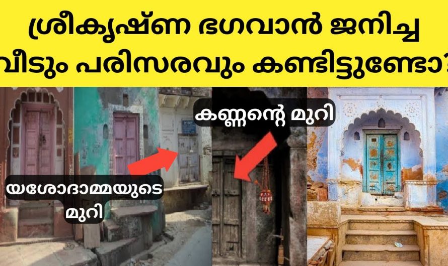 ഒരു കൃഷ്ണഭക്തൻ ജീവിതത്തിൽ ഒരിക്കലെങ്കിലും ഇവിടെ പോയിരിക്കണം. 5000 വർഷങ്ങൾക്കിപ്പുറവും ഒരു മാറ്റവും ഇല്ലാതെ വൃന്ദാവനം.