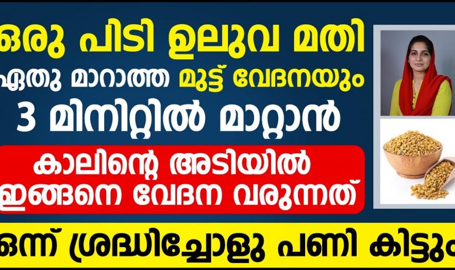 നിങ്ങൾക്ക് ശരീരം വേദനിക്കുന്നുണ്ടോ, മുട്ടുവേദന മാറാൻ ഈ ഒരു ഒറ്റ കാര്യം മാത്രം ചെയ്താൽ മതി.