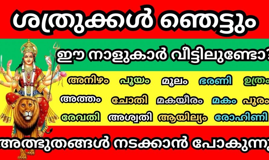 ഈ നക്ഷത്രക്കാർക്ക് നവരാത്രി ഒരു അത്ഭുതമായി മാറും. പ്രതീക്ഷിക്കാത്തത് സംഭവിക്കും.