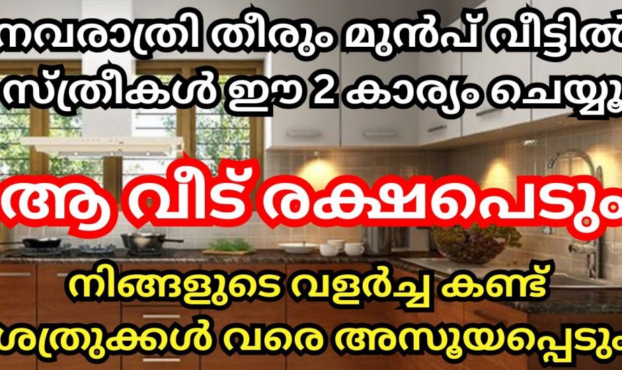 നവരാത്രി തീരും മുൻപ് ഇങ്ങനെ ചെയ്യു. നിങ്ങളുടെ വളർച്ചയിൽ ചുറ്റുമുള്ളവർ അസൂയപ്പെടും.