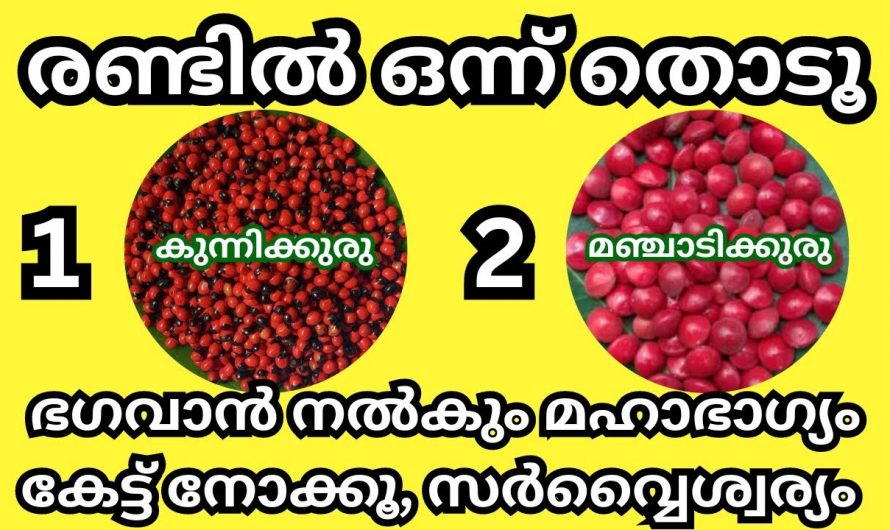 നിങ്ങളുടെ മഹാഭാഗ്യം തിരഞ്ഞെടുക്കാം ഈ രണ്ടു ചിത്രങ്ങളിൽ നിന്നും. രണ്ടു ചിത്രങ്ങളിൽ ഏതെങ്കിലും ഒന്നിൽ തൊടു.