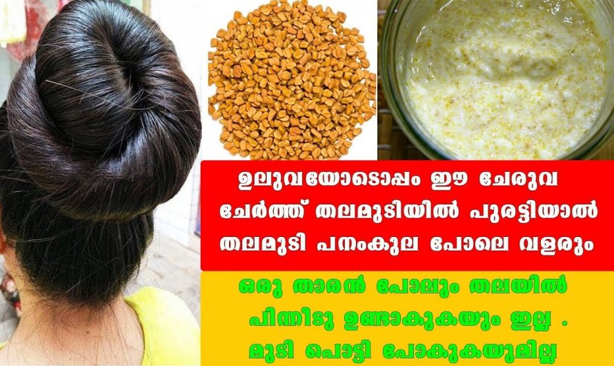 വെറും ഒറ്റ തവണ ഇങ്ങനെ ചെയ്താൽ മതി, മുടി കാടുപിടിച്ചത് പോലെ വളരും.