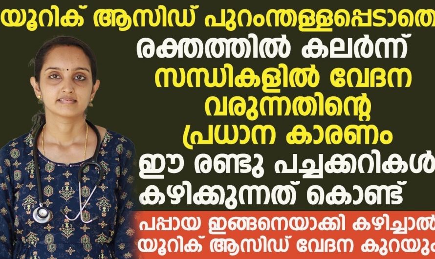 യൂറിക്കാസിഡിനെ നിയന്ത്രിക്കാൻ ഇനി പപ്പായ മതി. സന്ധിവേദനകൾ കൊണ്ട് പ്രയാസപ്പെടുന്നവരാണോ.