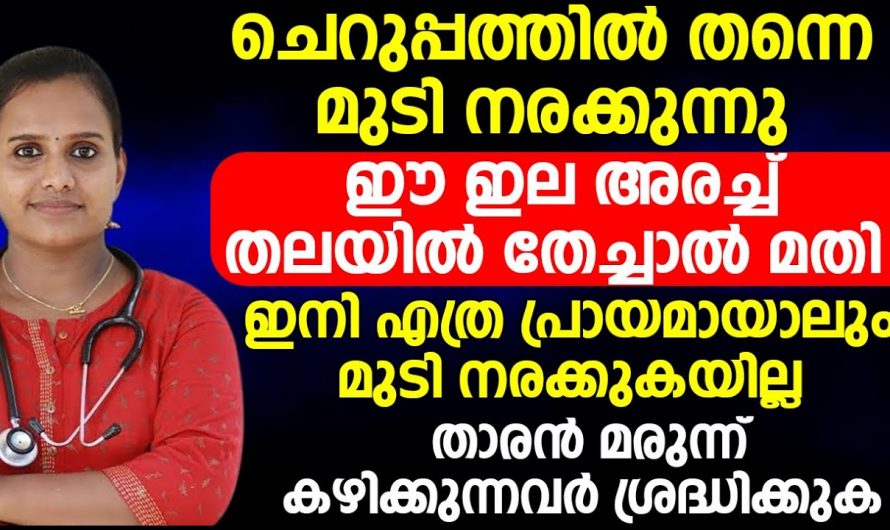 അകാല നരയും താരനും  ഇനി പ്രശ്നമാക്കേണ്ട. പ്രകൃതി തന്നെ മരുന്നാകും.