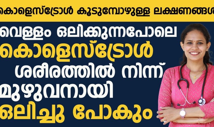 അമിതമായി കൊളസ്ട്രോൾ ഉണ്ടാകുന്നത് ഒരു നിസ്സാര പ്രശ്നമല്ല. നിങ്ങളുടെ ജീവൻ പോലും നഷ്ടപ്പെട്ടേക്കാവുന്ന ഒരു കാരണമാണ് കൊളസ്ട്രോൾ.