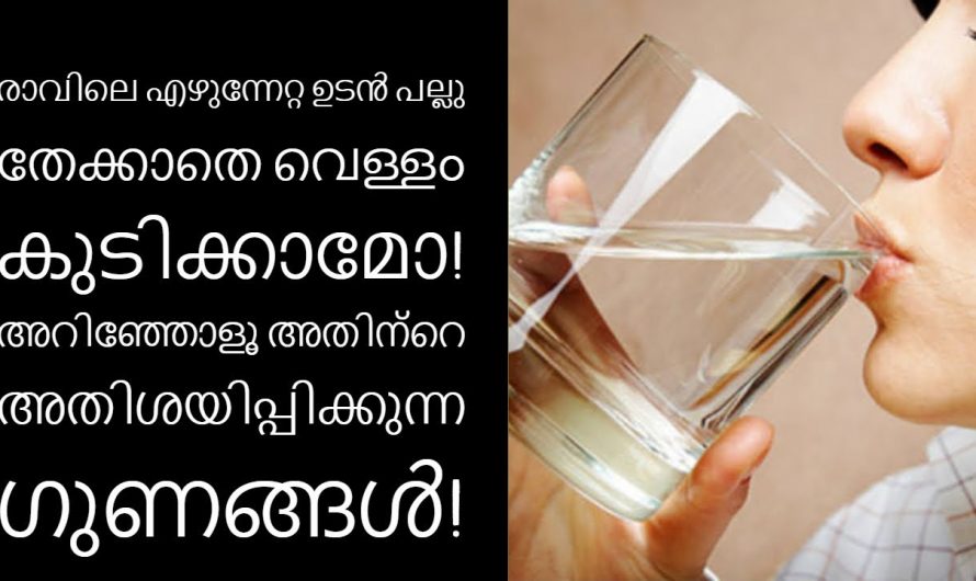 ദിവസവും പല്ലു തേക്കുന്നതിന് മുൻപ് വെള്ളം കുടിക്കുന്ന ശീലം ഉണ്ടോ, ഇതിന്റെ ഗുണങ്ങൾ അറിയാമോ.