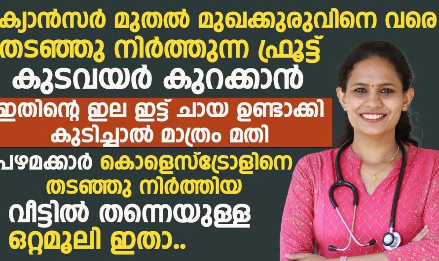 എത്ര വലിയ മുറിവും ഈ ഇല ഉണക്കും, ഈ അത്ഭുതപ്പഴം അറിയാതെ പോകരുത്.