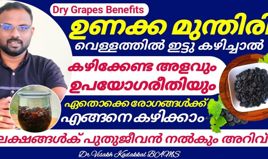 ഉണക്കമുന്തിരി കഴിക്കുമ്പോൾ ഈ കാര്യങ്ങൾ മറക്കരുത്. നിങ്ങളും ഉണക്കമുന്തിരി വെള്ളത്തിൽ കുതിർത്ത് കഴിക്കുന്നവരാണോ.