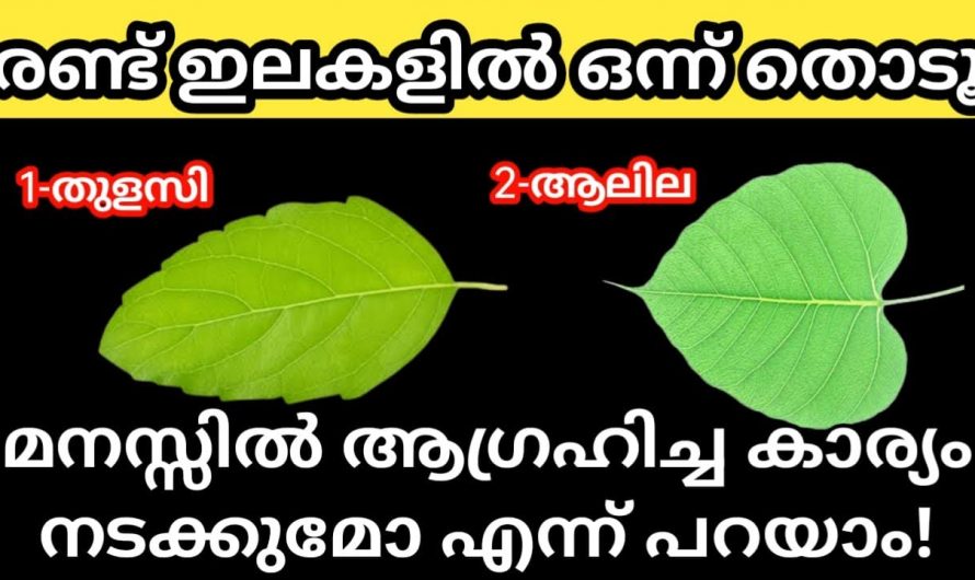 നിങ്ങളുടെ മനസ്സിലുള്ള ആഗ്രഹം നടക്കുമോ എന്ന് ഇപ്പോൾ അറിയാം. രണ്ടിലയിൽ ഒന്ന് തൊടു.