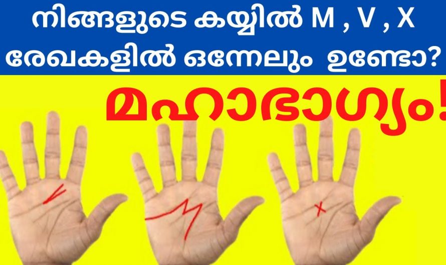 നിങ്ങളുടെ കൈകളിലും ഈ ഇംഗ്ലീഷ് അക്ഷരങ്ങൾ ഉണ്ടോ എങ്കിൽ നിങ്ങൾ രക്ഷപ്പെട്ടു.