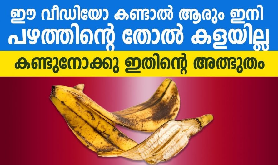 ഇനിയും പഴത്തിന്റെ തൊലി ആരും കളയില്ല. ഇത്രയും ഗുണങ്ങൾ ഇതിനെ അറിയാതെ പോയല്ലോ.