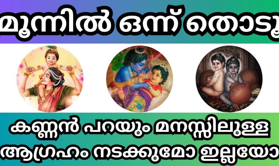 മനസ്സിലുള്ള ഏത് ആഗ്രഹവും ഉണ്ണികണ്ണൻ സാധിച്ചു തരും. മൂന്നിൽ ഒന്ന് തൊട്ടു നോക്കൂ.