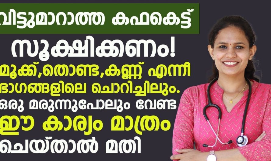 മരുന്നുകളുടെ സഹായമില്ലാതെ ഇനി ഏത് രോഗത്തെയും നേരിടാം.