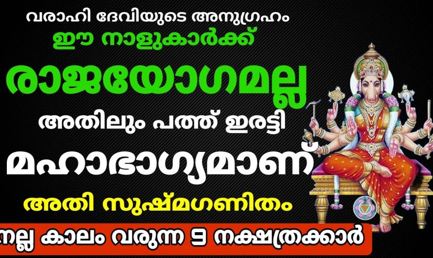 നിസ്സാരമല്ല ആഞ്ജനേയന്റെ  അനുഗ്രഹം. നിങ്ങൾക്ക് ഇനി സർവരാജയോഗമാണ്.