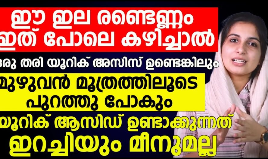 യൂറിക്കാസിഡ് നിയന്ത്രിക്കാൻ ഇനി മരുന്നുകൾ വേണ്ട ഈ ഇല മാത്രം മതി.