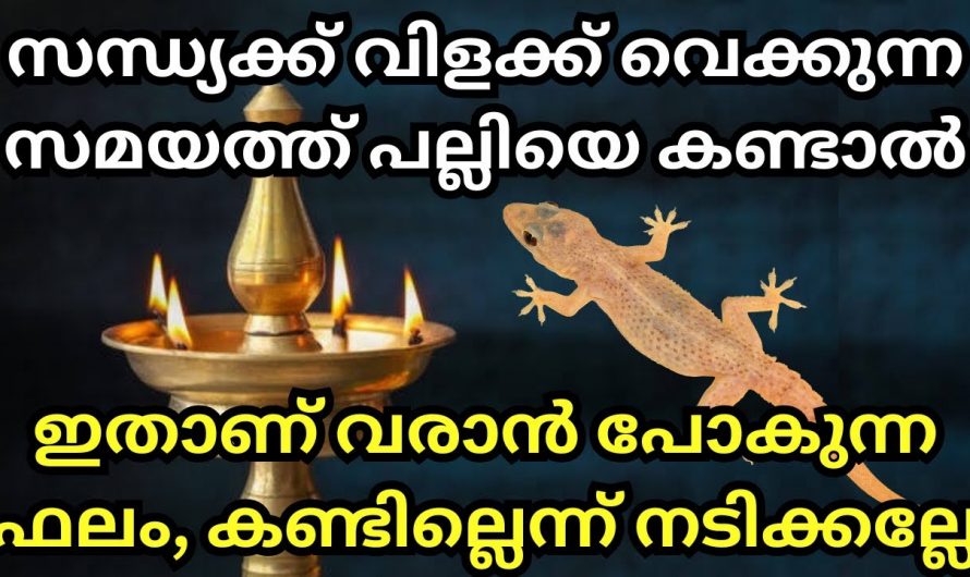 നിങ്ങളുടെ വീട്ടിൽ സന്ധ്യയ്ക്ക് നിലവിളക്ക് വയ്ക്കുന്ന സമയത്ത് പല്ലിയെ കാണാറുണ്ടോ, എങ്കിൽ സംഭവിക്കാൻ പോകുന്നത്.