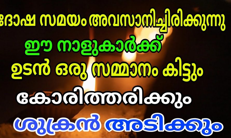 സൗഭാഗ്യം ഇനി ഈ നക്ഷത്രക്കാർക്ക് സ്വന്തം. ഈ 11 നക്ഷത്രക്കാരാണ് ഏറ്റവും വലിയ ഭാഗ്യവാന്മാർ.