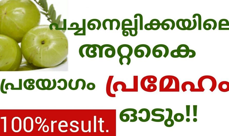 പച്ച നെല്ലിക്കയോടൊപ്പം ഇതുംകൂടി ചേർക്കൂ ഏത് കൂടിയ പ്രമേഹത്തിനെയും ഒതുക്കാം.