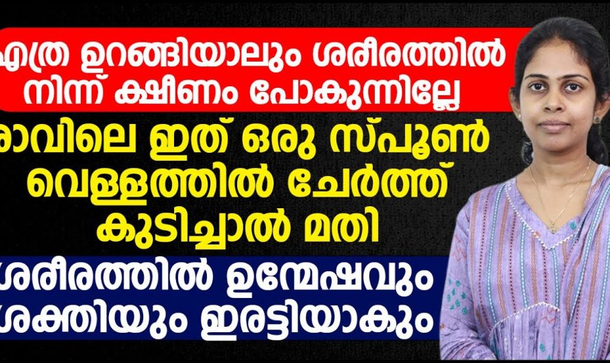 നിങ്ങൾക്ക് എപ്പോഴും ഫുൾ എനർജി ലഭിക്കും ഇങ്ങനെ ചെയ്താൽ. ഈ കാര്യങ്ങൾ മാത്രം ശ്രദ്ധിച്ചാൽ മതി.