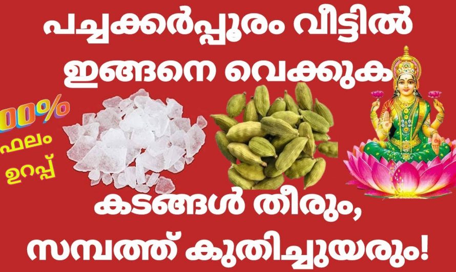 നിങ്ങൾക്കും ഒരു സമ്പന്നനാകണോ, അതിസംഭന്നൻ ആകാൻ പച്ചക്കർപൂരം കൊണ്ട് ഇങ്ങനെ ചെയ്യു.